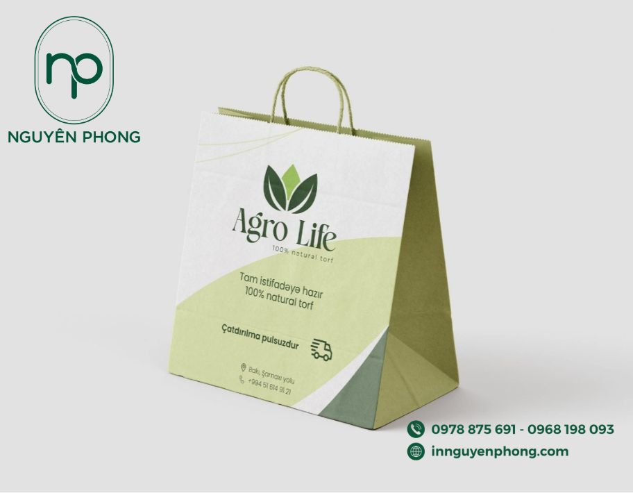 Mẫu túi giấy du lịch màu trang nhã 